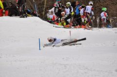 DSC_2770.jpg